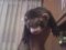Imatge del perfil de Patxo